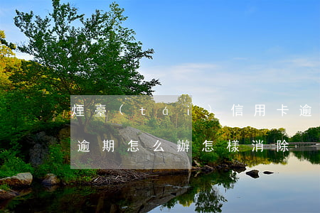 煙臺(tái)信用卡逾期怎么解決(信用卡逾期怎么辦怎樣消除)