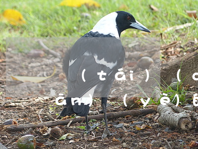 煙臺(tái)請(qǐng)專(zhuān)業(yè)的債務(wù)糾紛律師哪里找-煙臺(tái)債務(wù)律師事務(wù)所