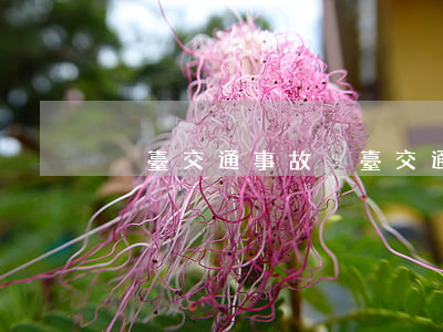 煙臺交通事故(煙臺交通事故)