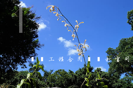 煙臺工程合同糾紛打官司(煙臺馬連述開庭)