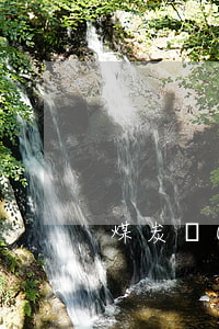 煤炭運(yùn)輸合同
