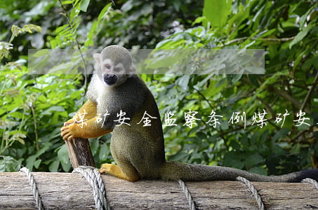 煤矿安全监察条例(煤矿安全监察条例确立了)