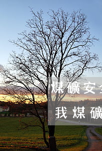 煤礦安全法律法規(guī)6(誰能告訴我煤礦安全生產(chǎn)法律法規(guī))