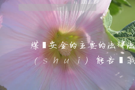 煤礦安全的主要的法律法規(guī)(誰(shuí)能告訴我煤礦安全生產(chǎn)法律法規(guī))