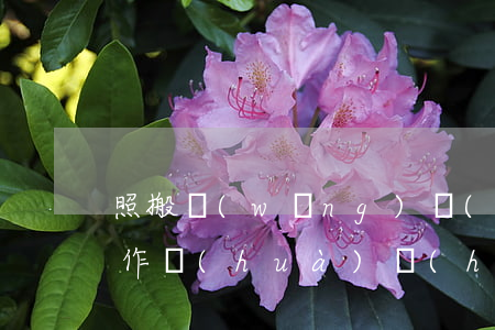照搬網(wǎng)絡(luò)上的圖片作畫(huà)會(huì)侵權(quán)嗎
