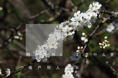照片比例3:2是什么意思（信用卡逾期車子過戶別人名下）