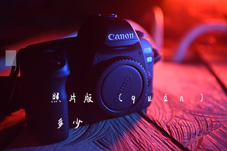 照片版權(quán)費(fèi)一般是多少