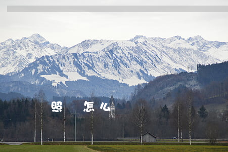 照顧怎么寫