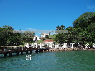 熊總征信逾期了怎么辦(熊總征信逾期了怎么辦)