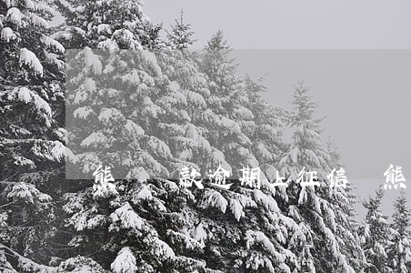 熊貓貸款逾期上征信嗎(熊貓貸款逾期上征信嗎)