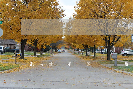 熟人借錢不還算詐騙嗎（熟人借錢不還如何起訴）
