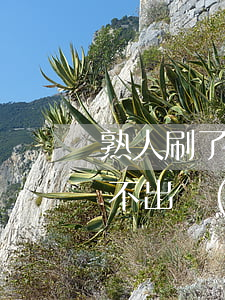 熟人刷了信用卡不還怎么辦(幫人還信用卡刷不出來(lái)了怎么辦)
