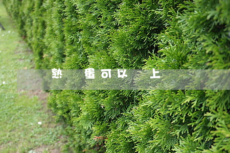 熟雞蛋可以帶上飛機嗎
