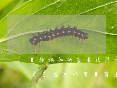 熱搜榜如何查看信用卡有沒有逾期-怎么查自己信用卡有沒有逾期記錄