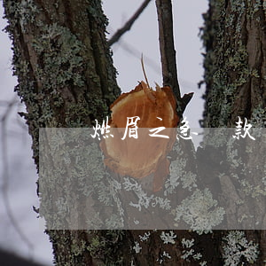 燃眉之急貸款還不起(還不起貸款可以慢慢還嗎)