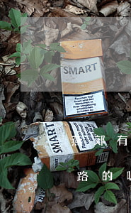 燕郊有欠網(wǎng)貸走投無(wú)路的嗎(燕郊有欠網(wǎng)貸走投無(wú)路的嗎)