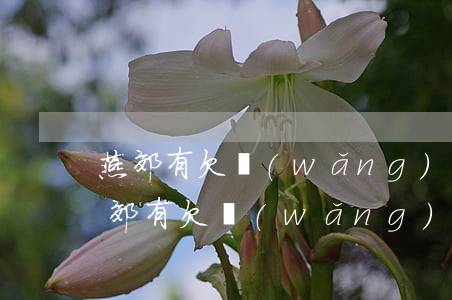 燕郊有欠網(wǎng)貸走投無路的嗎(燕郊有欠網(wǎng)貸走投無路的嗎)