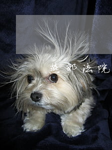 燕郊法院可以起诉吗