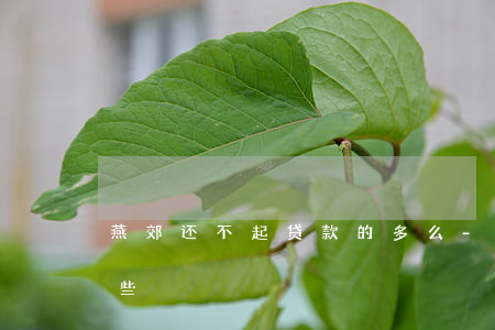 燕郊还不起贷款的多么-燕郊贷款公司有哪些