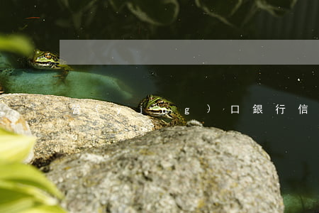 營(yíng)口銀行信用卡逾期怎么辦