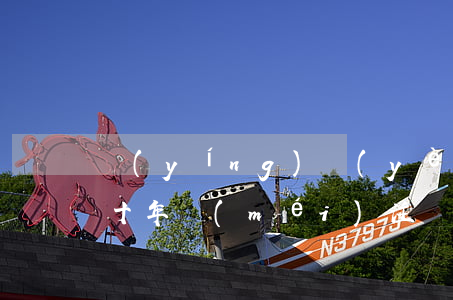 營(yíng)業(yè)執(zhí)照十年沒(méi)注銷(xiāo)罰多少錢(qián)(營(yíng)業(yè)執(zhí)照幾年吊銷(xiāo))