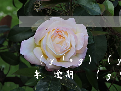 營(yíng)業(yè)執(zhí)照年審逾期兩個(gè)半月怎么辦-營(yíng)業(yè)執(zhí)照年審逾期兩個(gè)半月怎么辦理