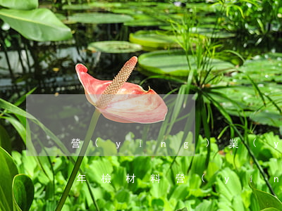 營(yíng)業(yè)執(zhí)照年檢材料(營(yíng)業(yè)執(zhí)照年檢合格證明材料是什么)