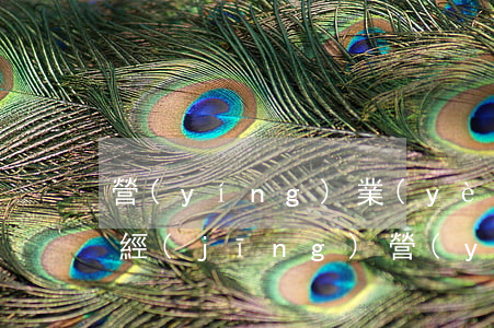 營(yíng)業(yè)執(zhí)照經(jīng)營(yíng)范圍變更要幾天