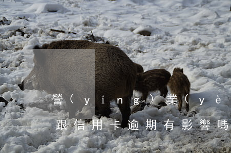 營(yíng)業(yè)執(zhí)照跟信用卡逾期有影響嗎-信用卡 曾經(jīng)有逾期 影響