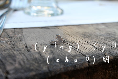 營(yíng)運(yùn)證逾期未審情況說(shuō)明（車(chē)輛營(yíng)運(yùn)逾期未審整改書(shū)）