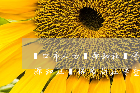 營口市人力資源和社會保障局(營口市人力資源和社會保障局社保查詢)