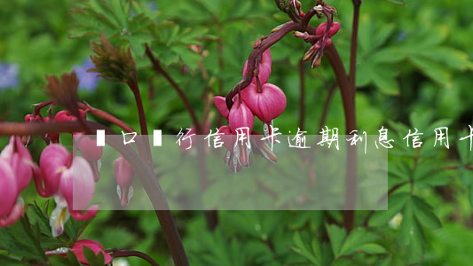 營口銀行信用卡逾期利息(信用卡逾期罰息)