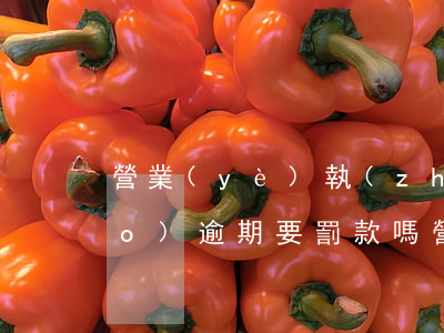 營業(yè)執(zhí)照0申報(bào)逾期要罰款嗎(營業(yè)執(zhí)照超期怎么辦)