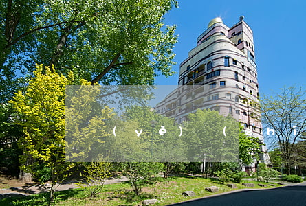 營業(yè)執(zhí)照名稱