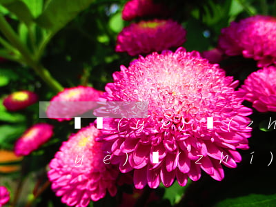 營業(yè)執(zhí)照哪里辦(營業(yè)執(zhí)照需要去哪里辦理)