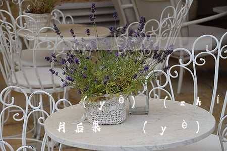 營業(yè)執(zhí)照年審逾期一個月后果(營業(yè)執(zhí)照年審7月1日算逾期嗎?可以年度年審嗎?)