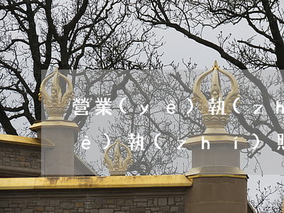 營業(yè)執(zhí)照年檢(營業(yè)執(zhí)照年檢手機步驟)