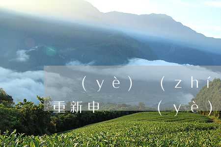 營業(yè)執(zhí)照年檢逾期怎么重新申請(營業(yè)執(zhí)照錯過年檢怎么補審)