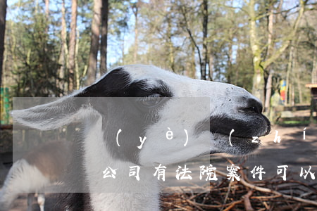 營業(yè)執(zhí)照法院可以起訴嗎(公司有法院案件可以被吊銷營業(yè)執(zhí)照嗎)