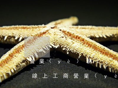 營業(yè)執(zhí)照注冊怎么辦理(線上工商營業(yè)執(zhí)照注冊怎么辦理)
