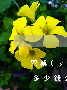 營業(yè)執(zhí)照被吊銷會處罰多少錢(公司被吊銷罰款多少)