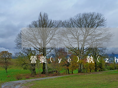 營業(yè)執(zhí)照辦理流程