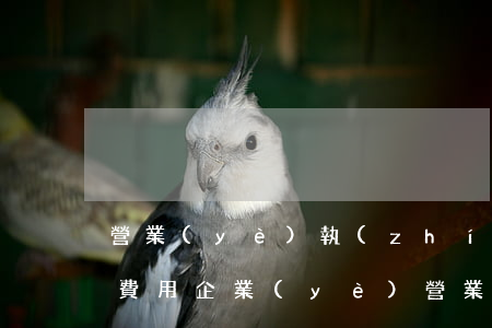 營業(yè)執(zhí)照逾期年檢補辦費用(企業(yè)營業(yè)執(zhí)照忘記年檢能補嗎)