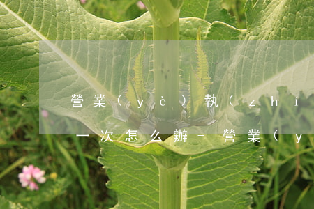 營業(yè)執(zhí)照逾期未申報第一次怎么辦-營業(yè)執(zhí)照逾期未申報第一次怎么辦理