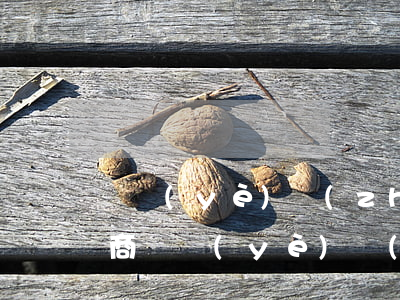 營業(yè)執(zhí)照逾期能審嗎(工商營業(yè)執(zhí)照逾期未審還能審嗎)