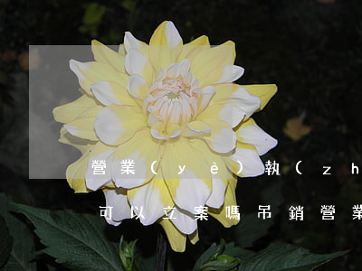 營業(yè)執(zhí)照過期法院原告可以立案嗎(吊銷營業(yè)執(zhí)照還能做被告嗎)