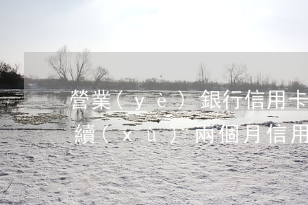 營業(yè)銀行信用卡逾期兩天怎么辦(連續(xù)兩個月信用卡逾期)