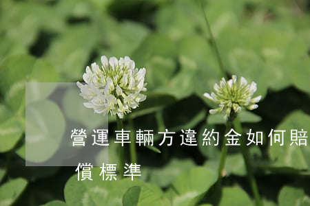 營運車輛方違約金如何賠償，營運車輛怎么賠償標準