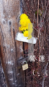 營運車輛駕駛員法律法規(guī)考試題(《營運汽車駕駛員從業(yè)資格考試題庫》)