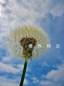 爆炸特定人屬于爆炸罪嗎